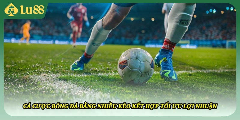 Cá cược bóng đá bằng nhiều kèo kết hợp tối ưu lợi nhuận