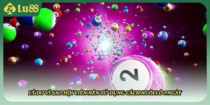 Lý do vì sao hội viên nên sử dụng cách nuôi lô 1 ngày